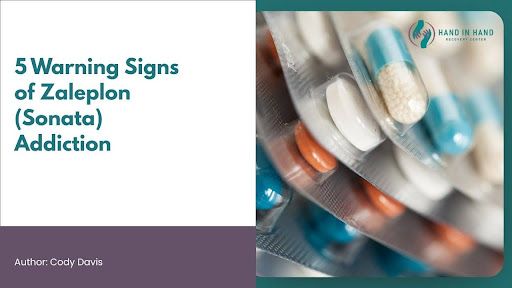 warning signs of zaleplon addiction